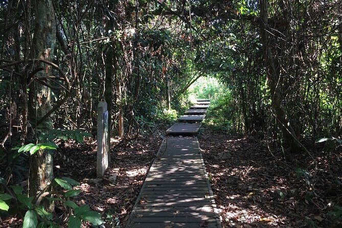 4-Day Jungle Experience in Taman Negara from Kuala Lumpur - Mutiara Taman Negara Resort: what your included base gives you