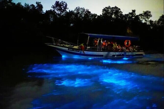 Amazing Fireflies With Blue Tears Watching & Kuala Selangor Tour - Night magic in Kuala Selangor starts with the ride out of KL