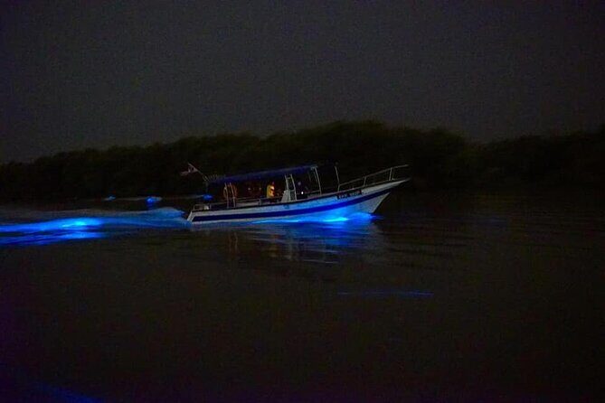 Amazing Fireflies With Blue Tears Watching & Kuala Selangor Tour - Kampung Kuantan Firefly Park: where the mangroves do the work