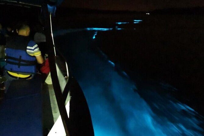 Amazing Fireflies With Blue Tears Watching & Kuala Selangor Tour - Dinner by the river: a nice add-on, not a guarantee