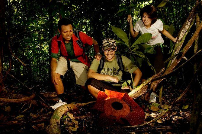 Amazing Taman Negara Day Trip from Kuala Lumpur Including Lunch - Key points before you go