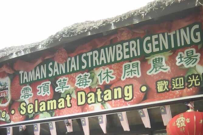 Batu Caves and Genting Highland Tour - Genting Highlands and Awana Skyway: Cable Car Time and High-Altitude Views
