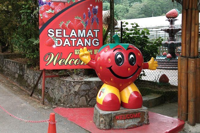 Batu Caves and Genting Highland Tour - Who This Tour Is Best For