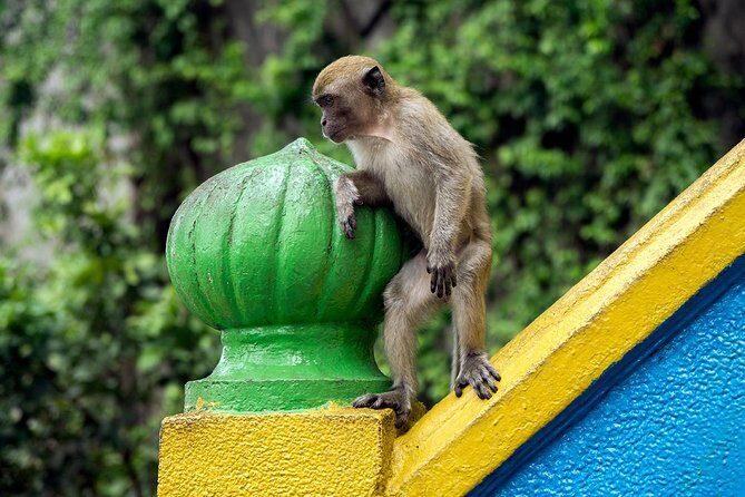 Batu Caves and Watching Fireflies in Kuala Selangor - 3:00 pm Timing: Why This Tour Starts Late and Ends on Magic