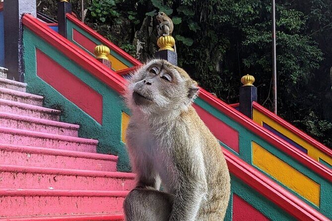 Batu Caves, Waterfalls and Hot Springs Tour With Lunch - Batu Caves: 272 Steps, Lord Murugan, and Monkey Rules