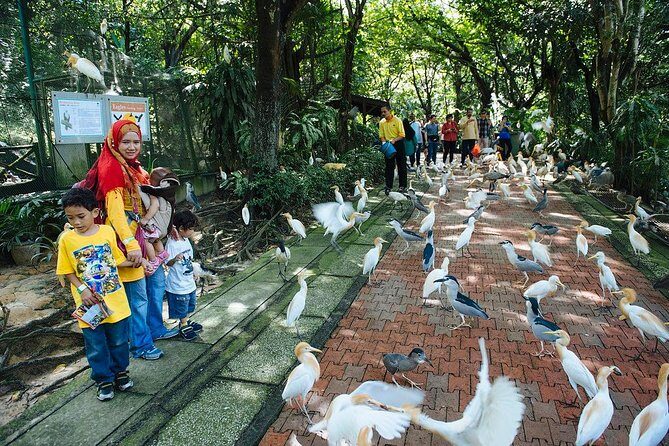 Bird Park & Butterfly Farm Nature Include All Entrance Tour From Kuala Lumpur - How the 3 Hours 30 Minutes Feel in Real Time