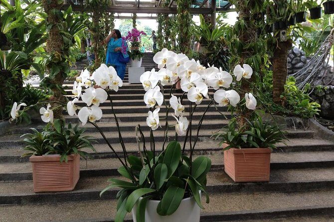 Bird Park & Butterfly Farm Nature Include All Entrance Tour From Kuala Lumpur - Who This Tour Fits Best in Kuala Lumpur