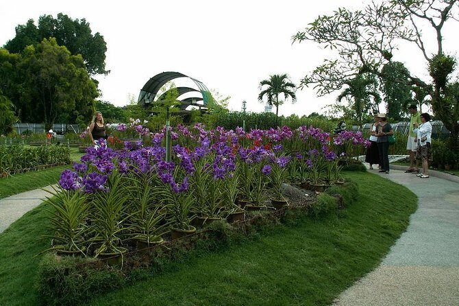 Bird Park & Butterfly Farm Nature Tour From Kuala Lumpur - Kuala Lumpur Bird Park: free-flight zones 1–3 (and hornbills in Zone 3)