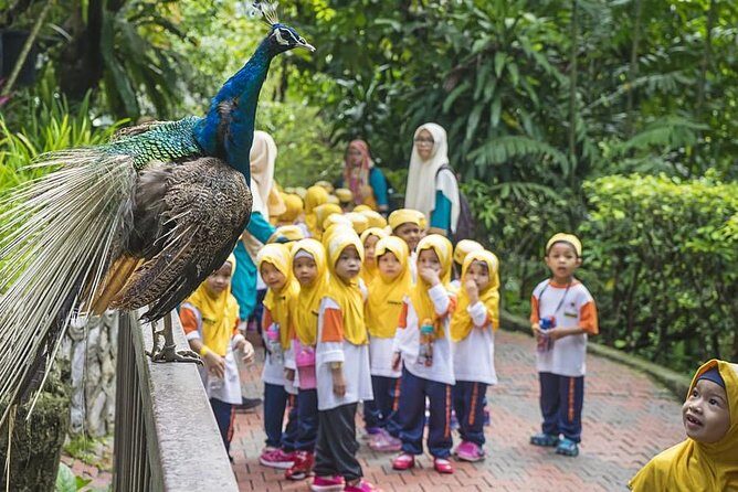 Bird Park & Butterfly Farm Nature Tour From Kuala Lumpur - KL Butterfly Park: ferns, flowering vines, and 5,000 butterflies