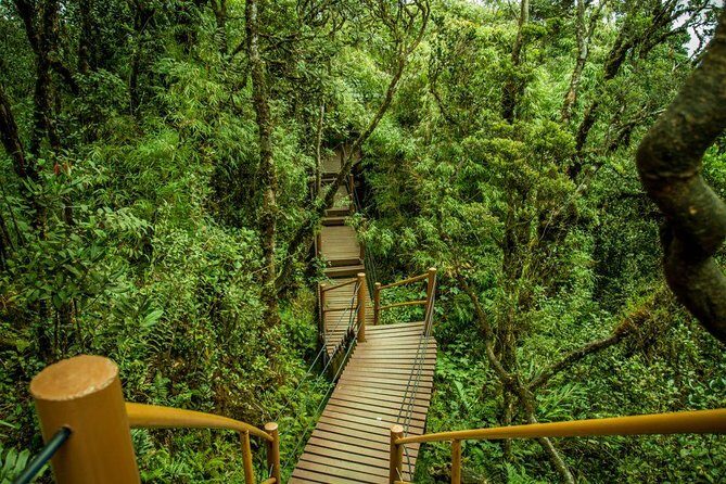 Cameron Highland Day Tour from Kuala Lumpur - Price and what you actually get for $150 per person