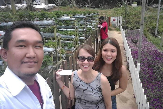 Cameron Highland Day Tour From Kuala Lumpur With Lunch Local food - Lunch: Local Malaysian Food Stops the Decision Fatigue