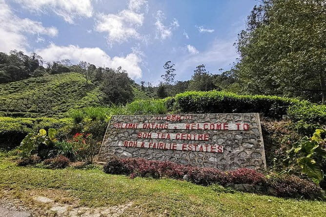 Cameron Highland Day-Trip from Kuala Lumpur - Cameron Highlands From KL: Why This Day Trip Works