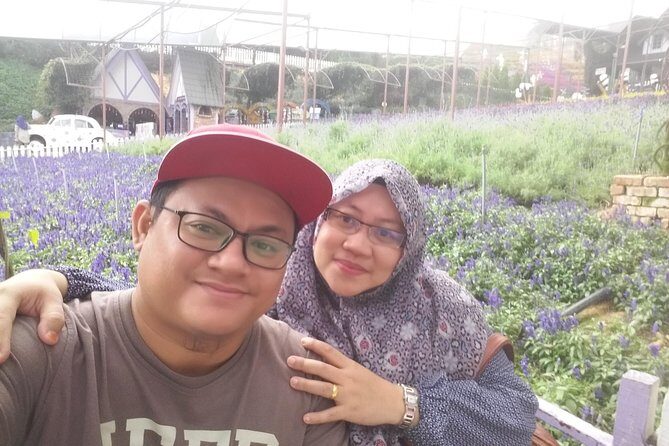 Cameron Highland Day Trip - Pick-your-own strawberries at Raju Hill
