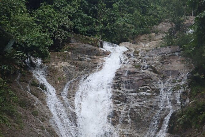 Cameron Highland Full Day Tour from KL City Private Tour - Lata Iskandar Waterfall: A Quick Photo Stop That Still Works
