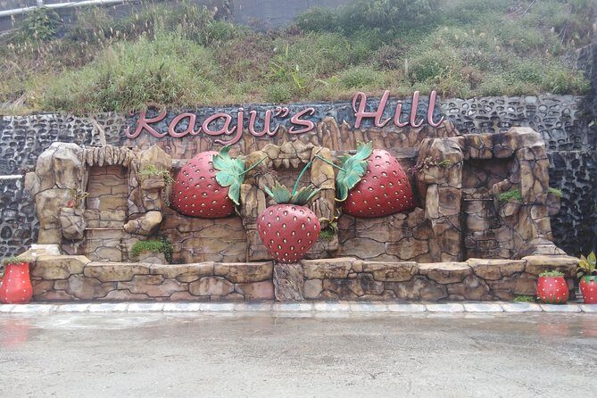 Cameron Highland Private Day Tour - Price and what you’re really paying for