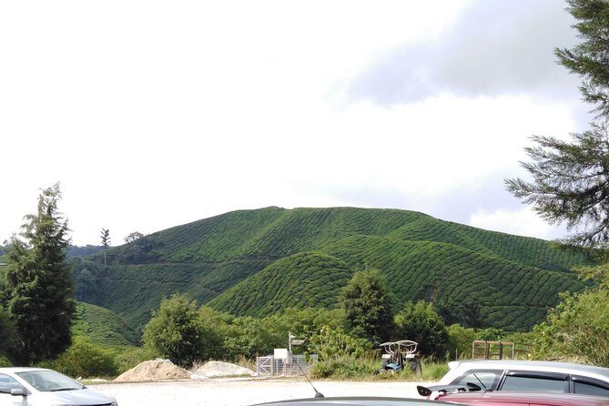 Cameron Highland Private Day Tour - What the included lunch and water mean for a long day