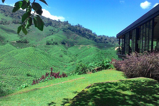 Cameron Highlands 3 Days 2 Night Tours Private (per Vehicle) - Price and value: what you’re paying for (and what you’re not)