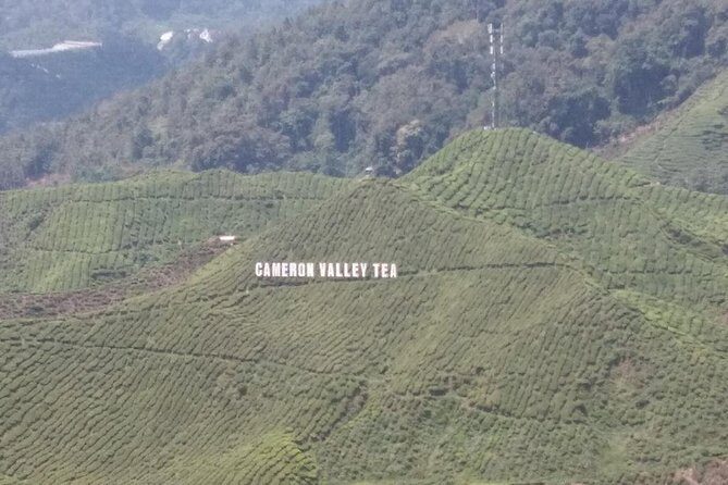 Cameron Highlands 3 Days 2 Night Tours Private (per Vehicle) - Transportation from Kuala Lumpur: comfort on the curvy road