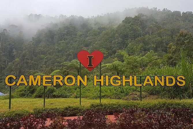 Cameron Highlands Amazing Day Trip Tour with Local Lunch - Why This Day Trip Works Better Than DIY