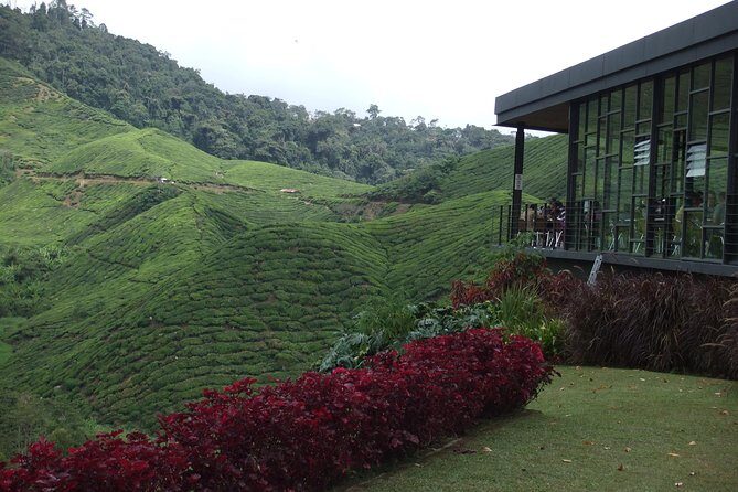 Cameron Highlands Amazing Day Trip Tour with Local Lunch - Key Highlights You’ll Feel From the Start