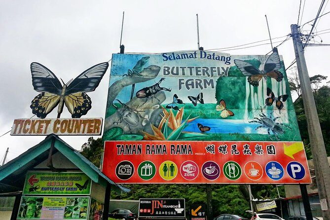 Cameron Highlands Amazing Day Trip Tour with Local Lunch - Price and Logistics: What $129 Buys You