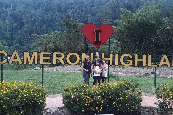 Cameron Highlands Day Trip From Kuala Lumpur - Big Red Strawberry Farm: hydroponic strawberries with a short, sweet visit
