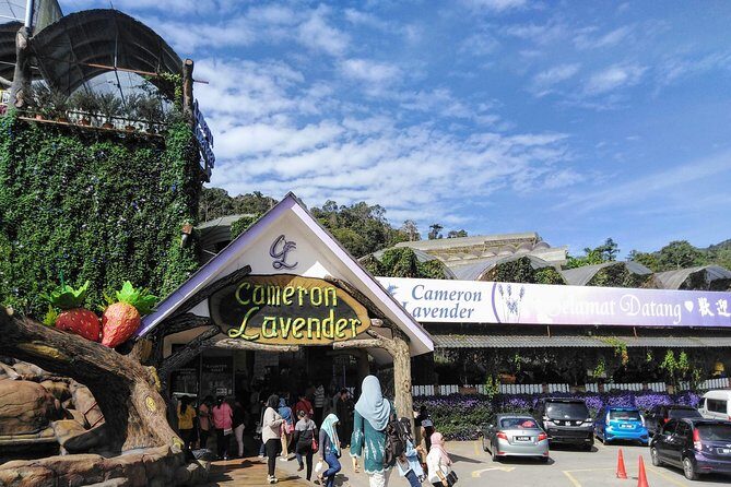 Cameron Highlands Day Trip From Kuala Lumpur - Lata Iskandar: a free admission nature reset (and why you should go on a weekday)