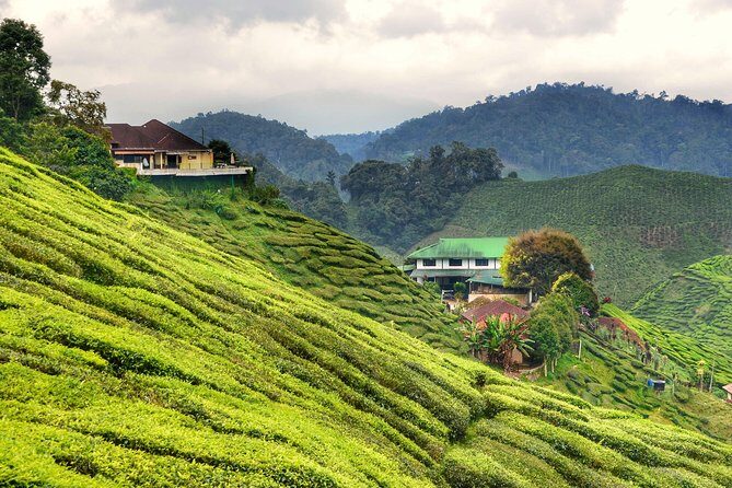 Cameron Highlands Full-Day Nature Tour - Stop 1: Lata Iskandar waterfall and the roadside market scene