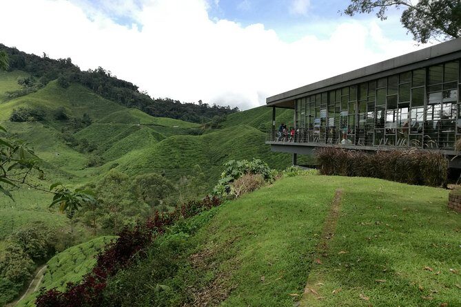 Cameron Highlands, Garden of Nature Full Day Private Guided Tour - Cameron Highlands: exactly what you’re signing up for