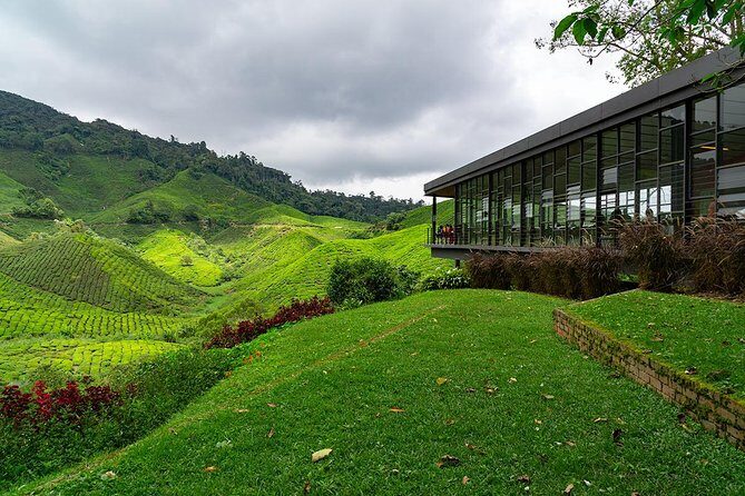 Cameron Highlands One Day Trip from Kuala Lumpur Privately Organised - One-day Cameron Highlands without the planning headaches