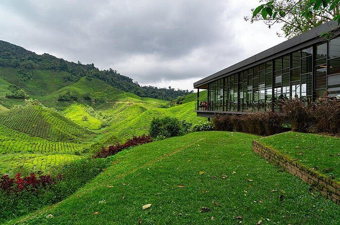 Cameron Highlands One Day Trip from Kuala Lumpur Privately Organised - Lunch plan: non-veg set lunch plus veg ala carte