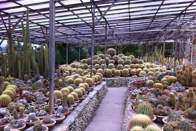 Cameron Highlands Tour From Kuala Lumpur (Private Tour) - Bee Farms, Strawberry Fields, and Roses: Farming Fun With Real Time Limits