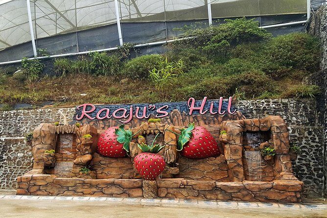 Cameron Highlands Tour From Kuala Lumpur (Private Tour) - Lata Iskandar Waterfall: A Quick Hit of Jungle Beauty