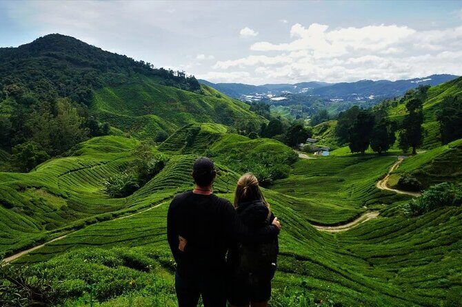Cameron Highlands Tour from Kuala Lumpur - Cameron Bharat tea garden: views, photos, and a short walk