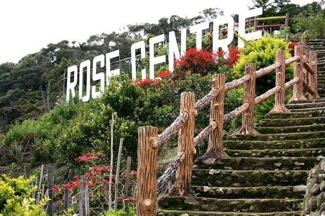 Cameron Highlands Tour on Private Basis - Lata Iskandar Waterfalls and Farm Life: Photos, Markets, and Honey