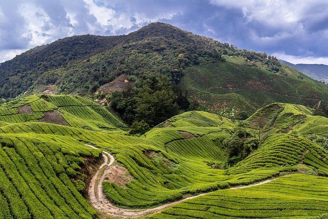 Cameron Highlands Tour on Private Basis - Aborigines Village Blowpipe Demo: Culture You Watch, Not Just Hear About