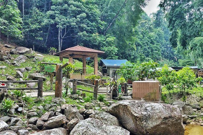 Cameron Highlands with Lunch Guided Day Tour (SIC/Shared Tour) - Lata Iskandar Waterfall: Quick Stop, Real Fresh Air