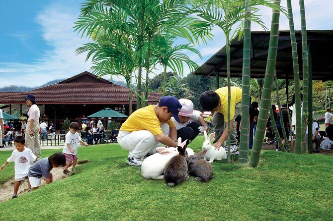 Colmar Tropicale and Batu Caves Day Trip (SIC - Join In Tour) - Timing Tips to Protect Your Experience