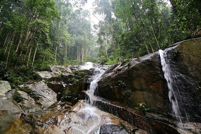 Countryside Tour Waterfall, Hot Springs & Batu Caves With Lunch - Templer Park and lunch in Kuala Lumpur: wrapping the day