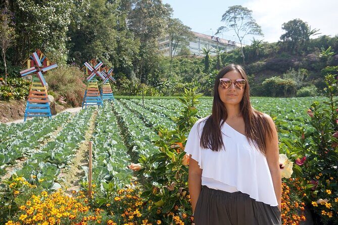 Elevate Your Senses: A Day of Wonders in Cameron Highlands! - Stop 1: Cameron Highlands Butterfly Garden (30 minutes) for an easy nature reset