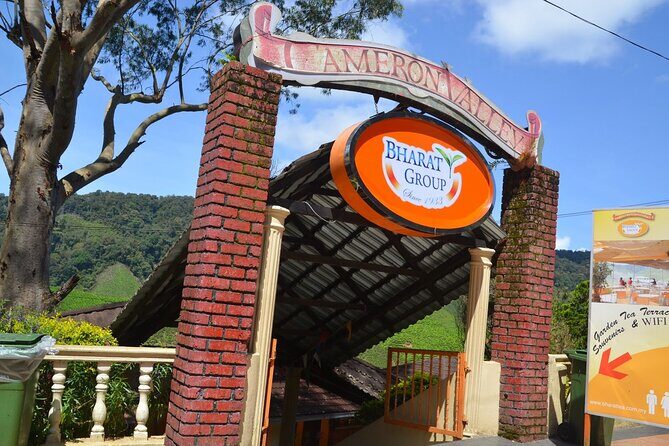 Elevate Your Senses: A Day of Wonders in Cameron Highlands! - Stop 6: Lata Iskandar Waterfall (20 minutes) for a rainforest breather