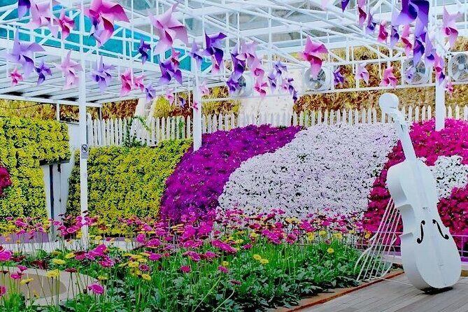 Elevate Your Senses: A Day of Wonders in Cameron Highlands! - Price and logistics: what $93.49 covers (and what it doesn’t)