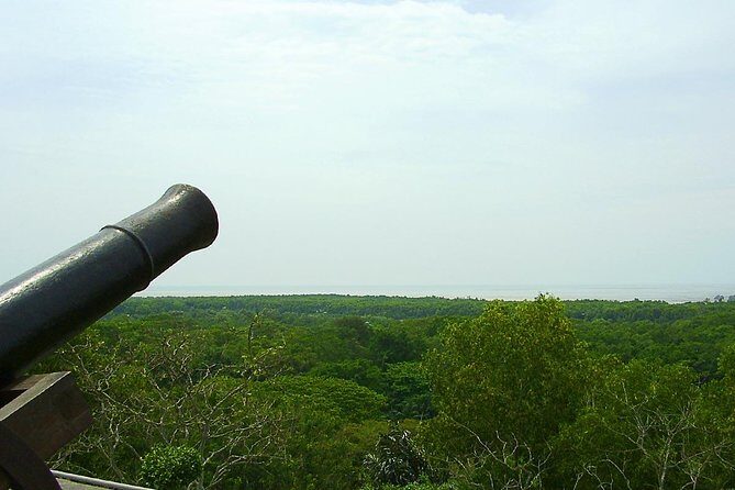 Fireflies and Kuala Selangor Tour Including Dinner - Kuala Selangor Nature Park rowing time: slow boat, bird-spotting chances