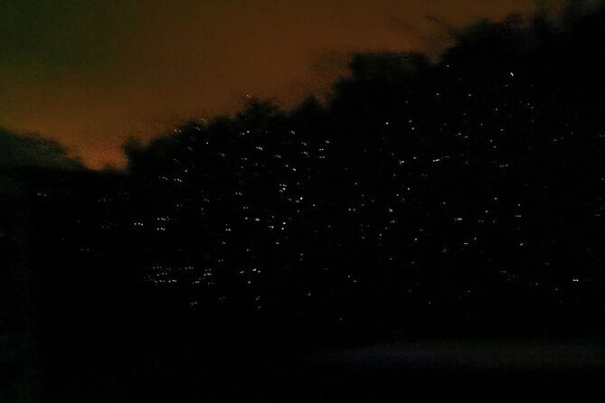 Fireflies & Silver leaf monkey Gazing tour - Price and value: why $57.27 can make sense here