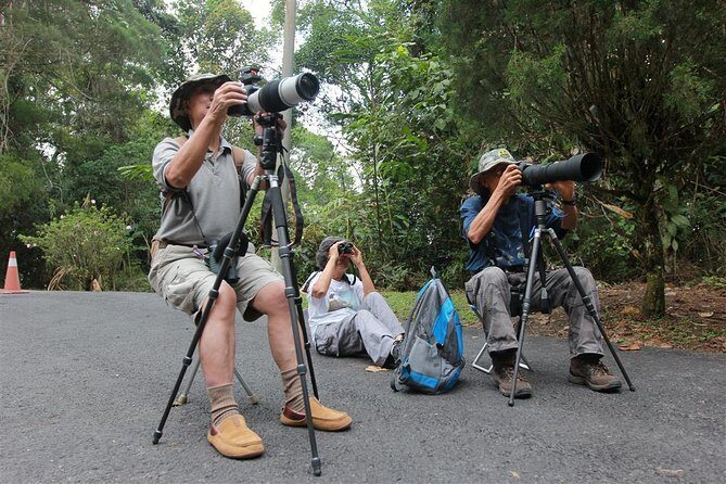 Fraser's Hill Bird-Watching & Nature Sightseeing Tour from Kuala Lumpur - Fraser’s Hill at 5:30am: Why the early start matters