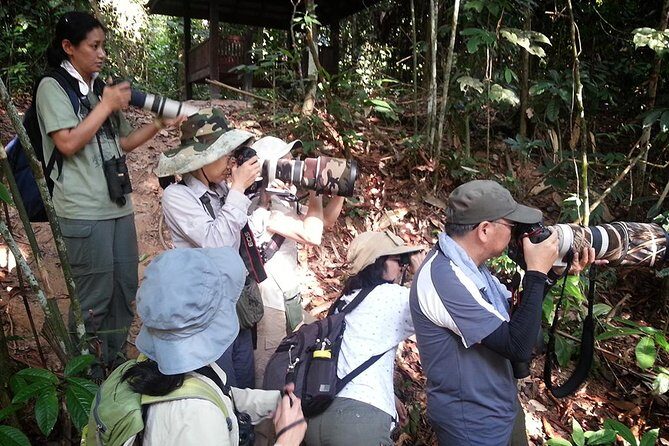 Fraser's Hill Bird-Watching & Nature Sightseeing Tour from Kuala Lumpur - Binoculars included: how to use them without turning it into homework