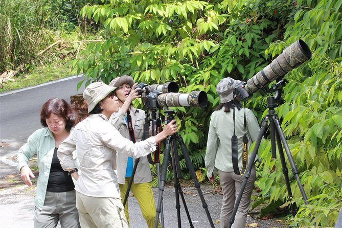 Fraser's Hill Bird-Watching & Nature Sightseeing Tour from Kuala Lumpur - Kuala Lumpur pickup and private transport: easy logistics, less fuss
