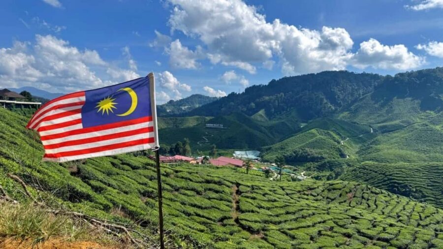 From Kuala Lumpur: Cameron Highlands Day Tour with Lunch - Mini Zoo, Aviary, and themed gardens: fun, but watch your expectations