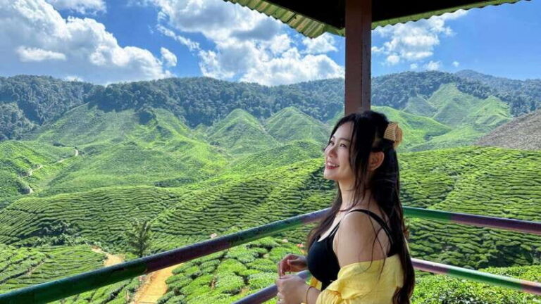 From Kuala Lumpur: Cameron Highlands Day Tour with Lunch - Pickup and timing: plan on a full day, not a quick trip