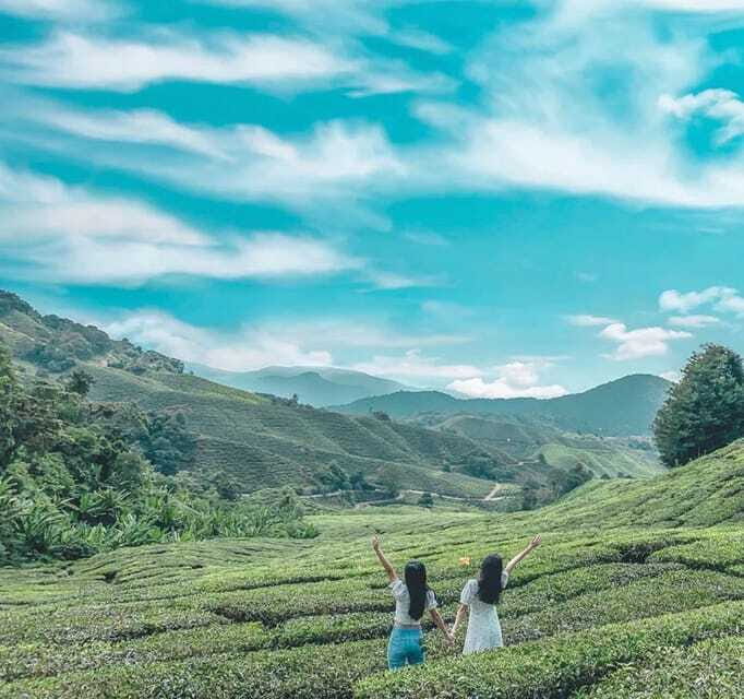 From Kuala Lumpur: Cameron Highlands Day Trip with Transfers - Orang Asli Aboriginal Village: culture plus a blowpipe moment